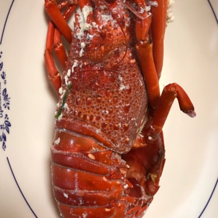 伊勢海老の塩ゆで レシピ 作り方 By ボンド子 楽天レシピ 伊勢海老の塩ゆで レシピ 作り方 By ボンド子 楽天レシピ